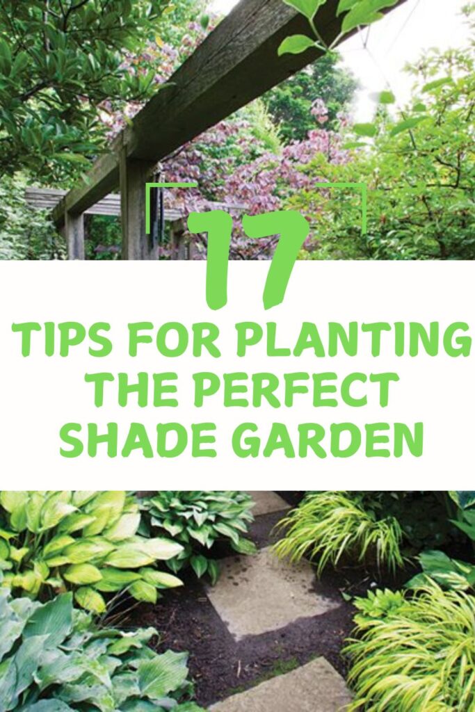 17 Tips For Planting The Perfect Shade Garden: A Complete Guide