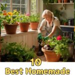 10 Best Natural Homemade Fertilizers for Indoor Plants: Boost Your Indoor Garden’s Health Naturally