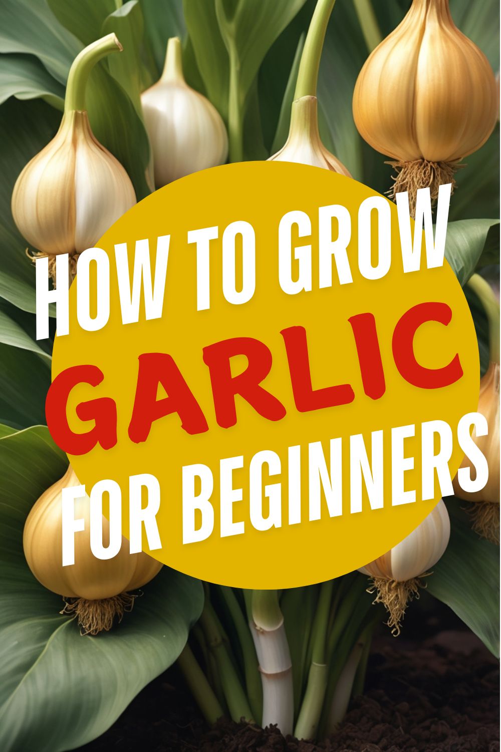 How to Grow Garlic: A Beginner’s Guide to Cultivating Flavorful Bulbs
