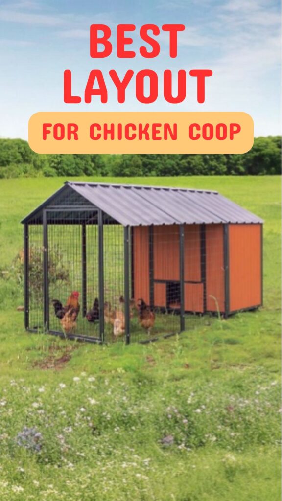 The Ultimate Guide to Chicken Coop Layout: Design Tips for Happy, Healthy Hens