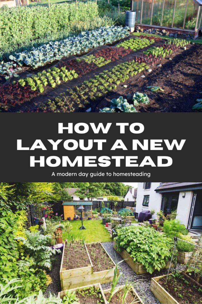 How to Set Up Your Dream Homestead: The Ultimate Beginner’s Guide to Self-Sufficient Living