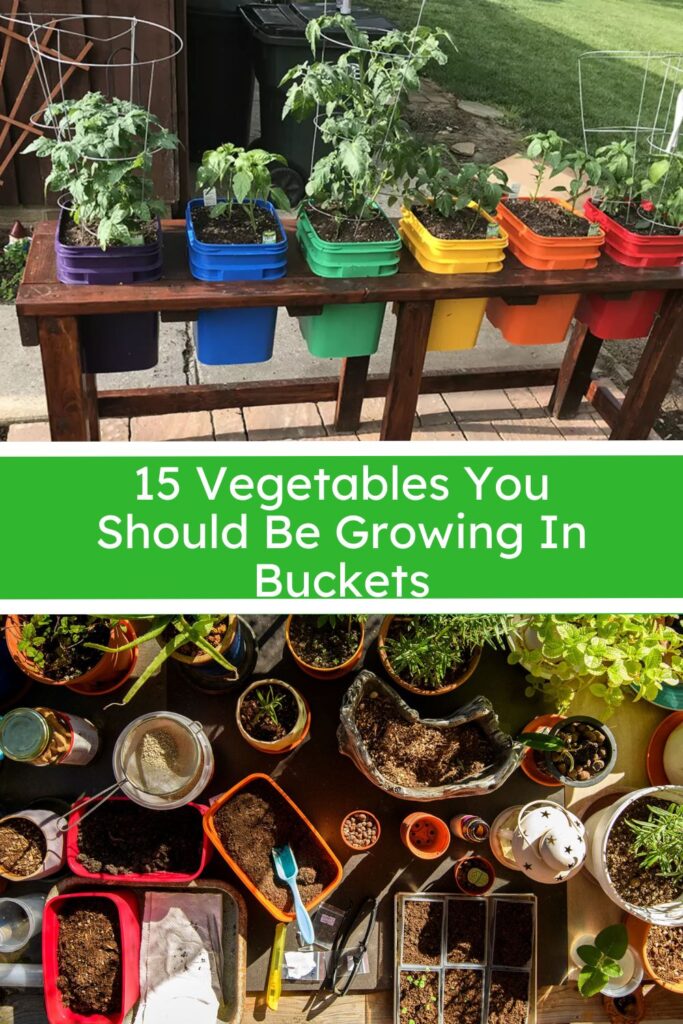 15 Vegetables You Should Be Growing In Buckets: The Ultimate Space-Saving Garden Guide