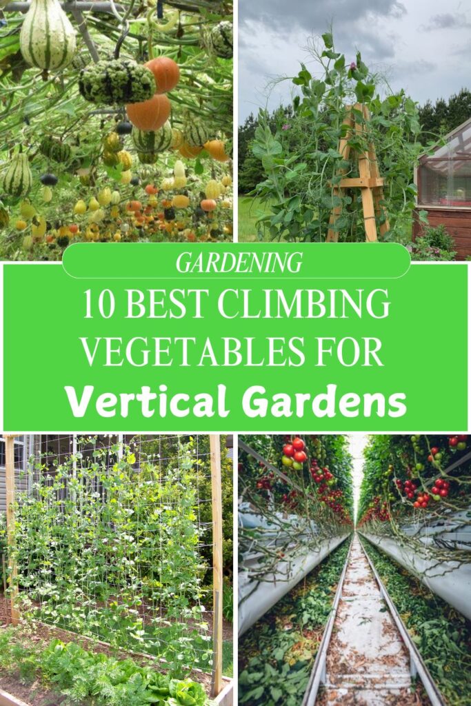 10 Best Climbing Vegetables for Vertical Gardens: Maximize Your Growing Space