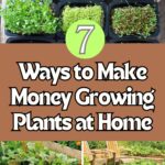 7 Profitable Ways to Make Money Growing Plants at Home