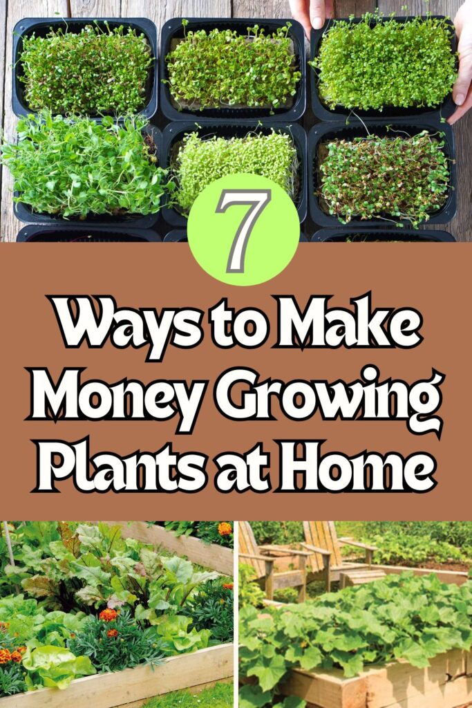 7 Profitable Ways to Make Money Growing Plants at Home