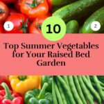 Top 10 Summer Vegetables for Your Raised Bed Garden