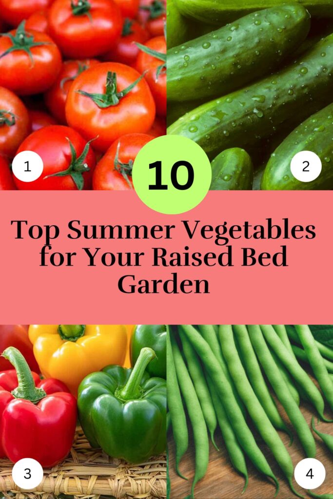 Top 10 Summer Vegetables for Your Raised Bed Garden