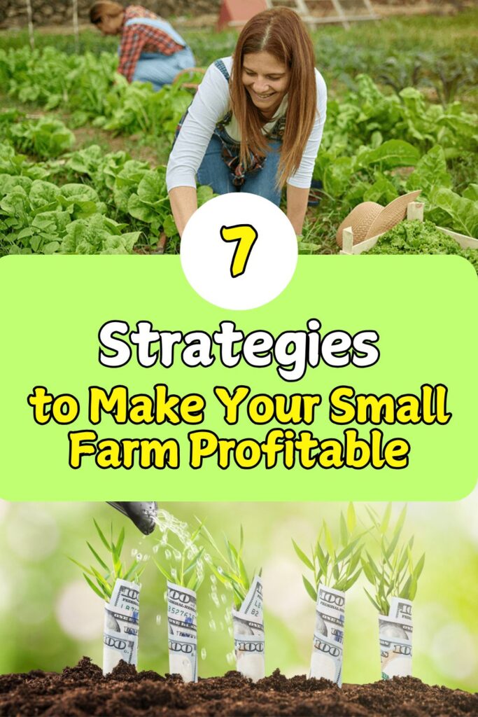 7 Strategies to Make Your Small Farm Profitable