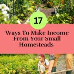 17 Detailed Income Streams for Small Homesteads