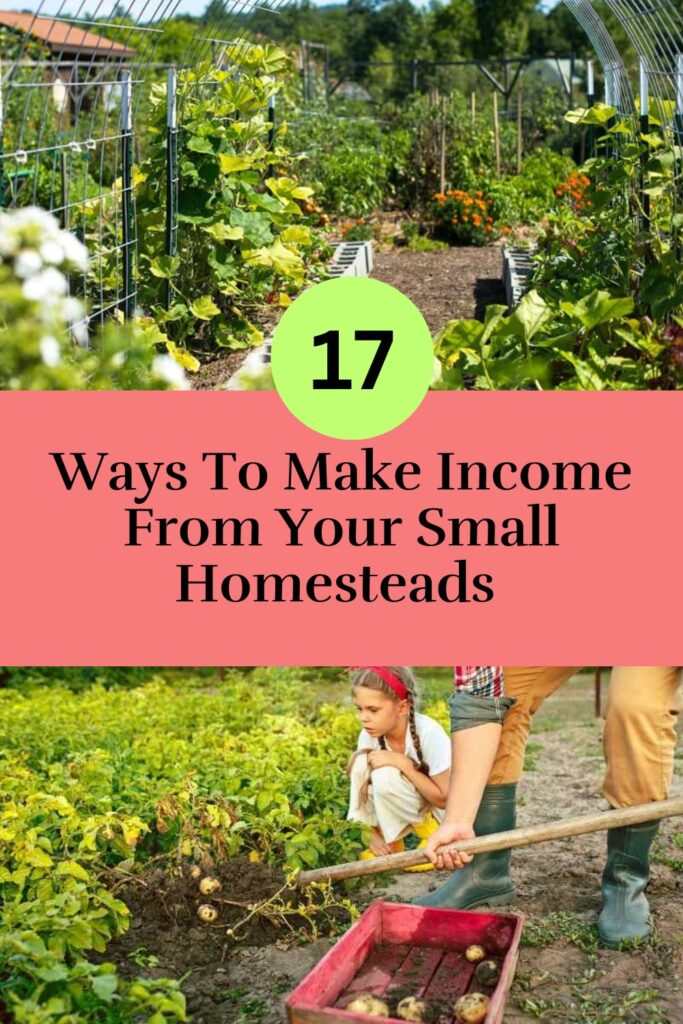 17 Detailed Income Streams for Small Homesteads