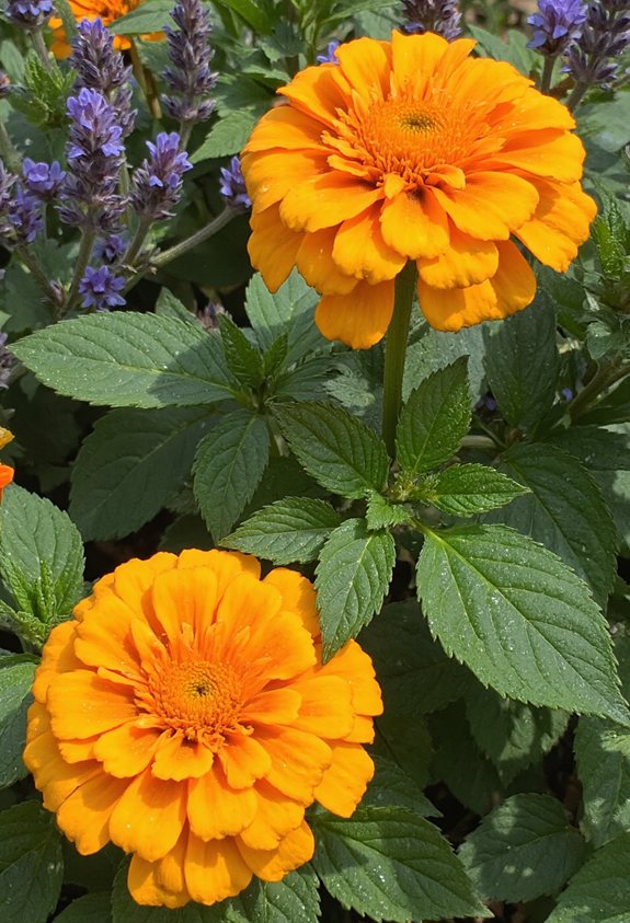 bright blooms repel insects