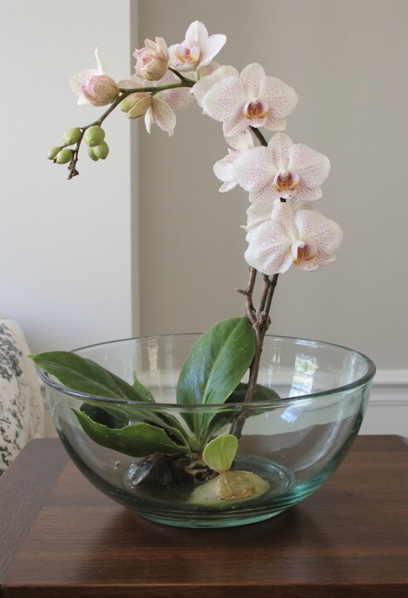 elegant glass orchid d cor