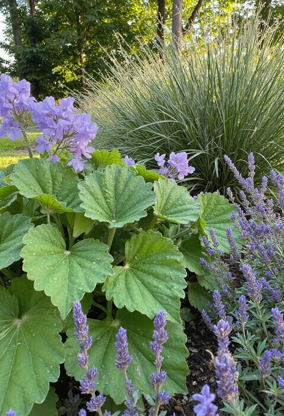 leafy scent repels insects