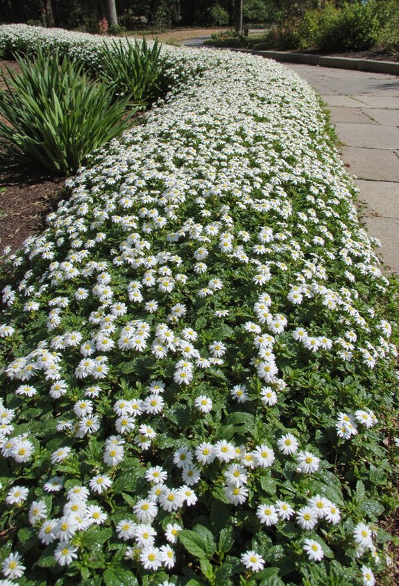 low growth mosquito repelling carpet