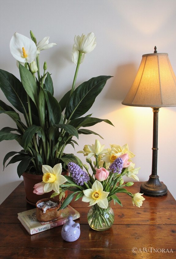 peace lily study d cor