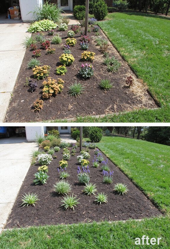 seasonal garden flower rotation