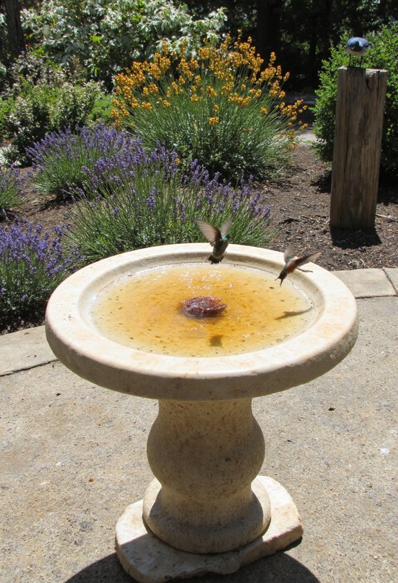 sunny spot for bird bath