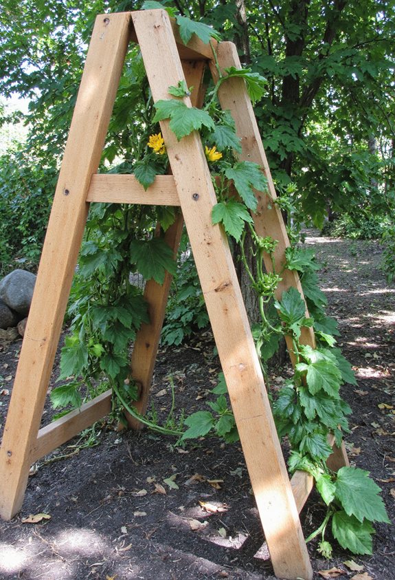 a frame trellis stability