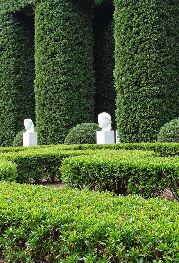 boxwood framed sculpture display