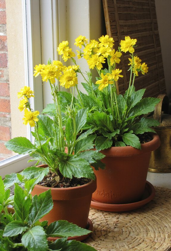 bright mood lifting garden herb