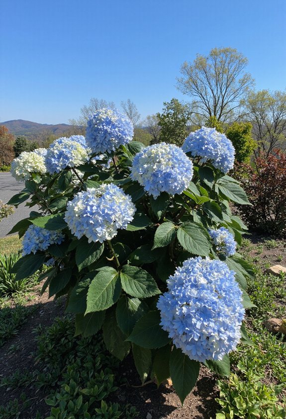 climate specific garden success