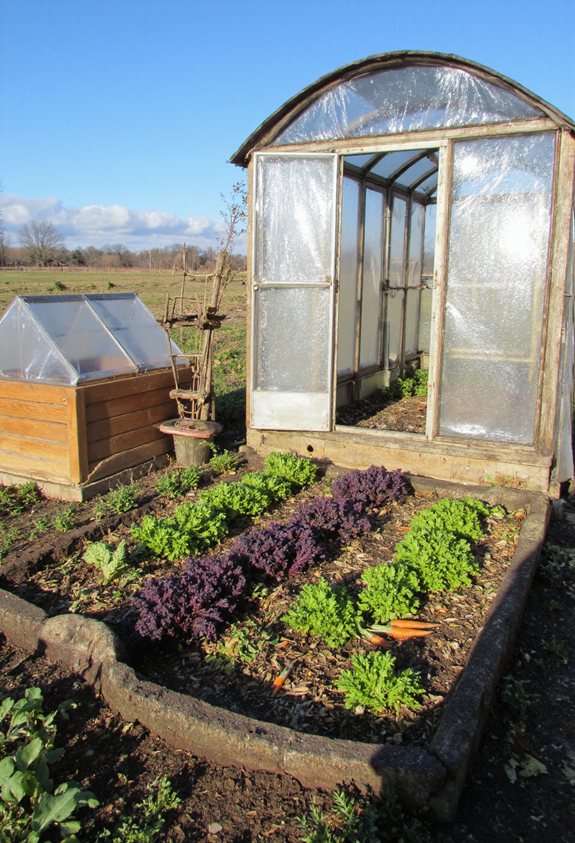cold frames extend season