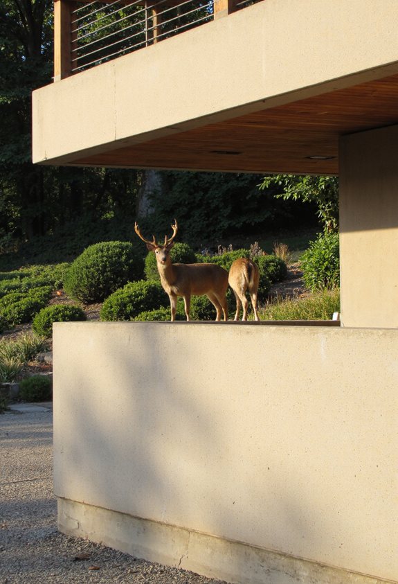 concrete wall overhang