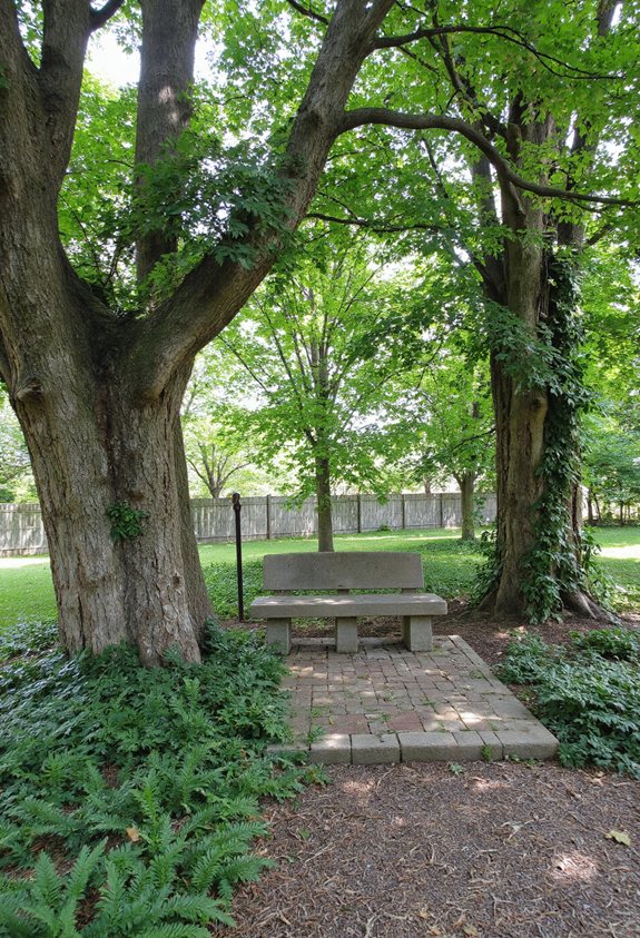 cozy canopy reading nook