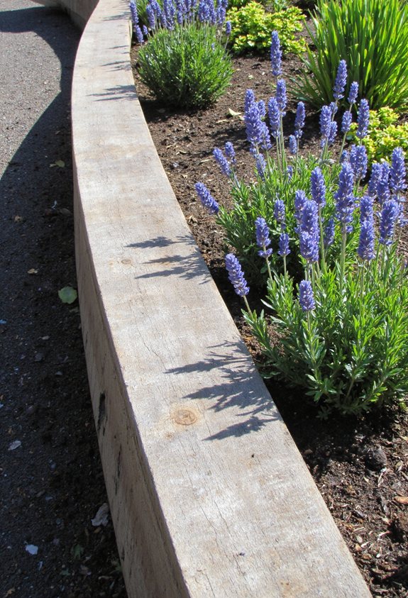 elevated timber garden border