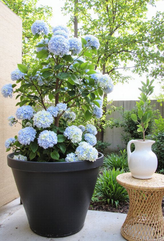 endless summer patio showcase