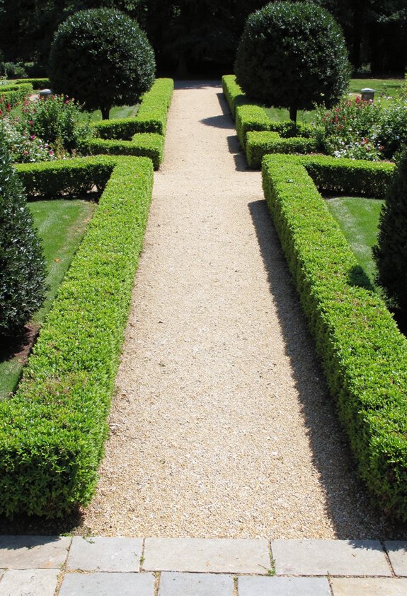 formal boxwood hedge elegance