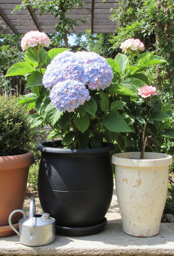 hydrangea pot style guide