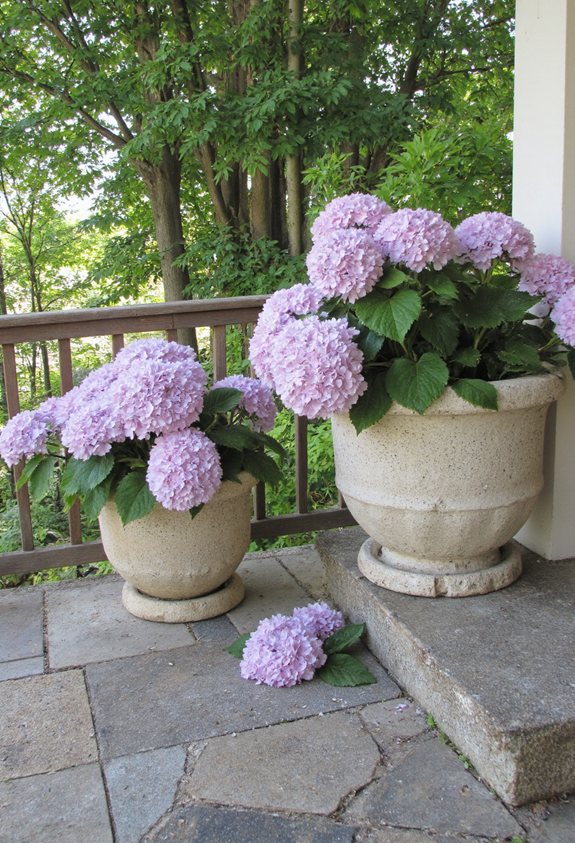 oversized stone hydrangea garden