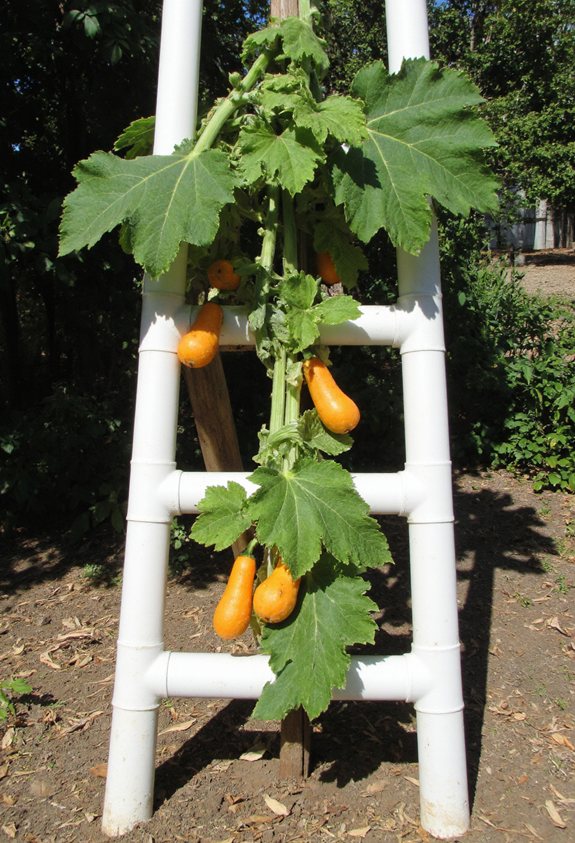 pvc pipe garden ladder