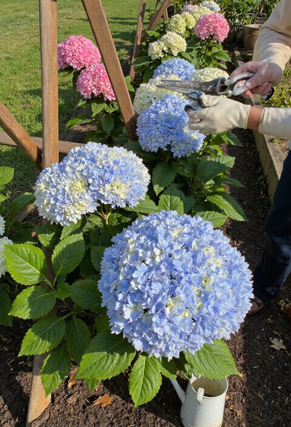 raised bed soil control
