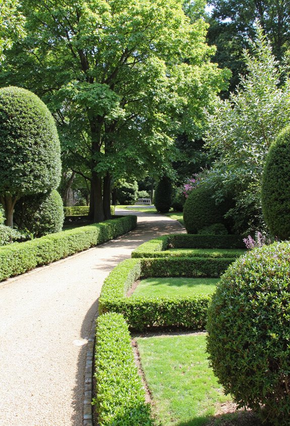 seasonal boxwood care schedule