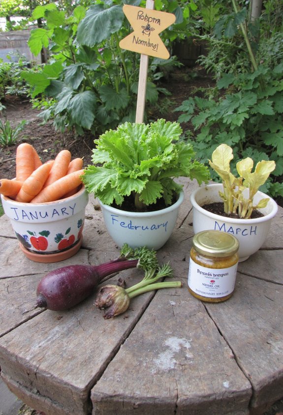 seasonal pests organic remedies