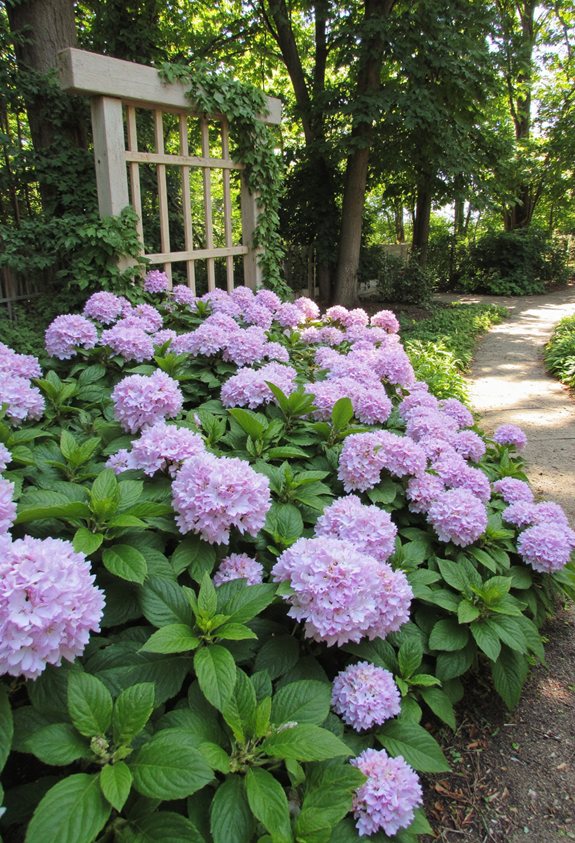 sunny wind protected planting spot