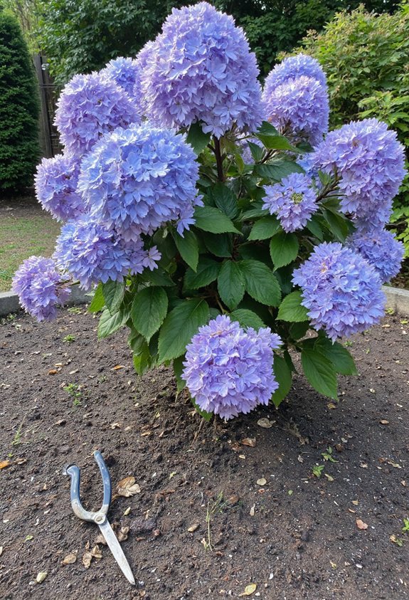 winter hardening soil amendment