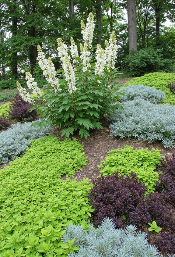 year round colorful groundcovers
