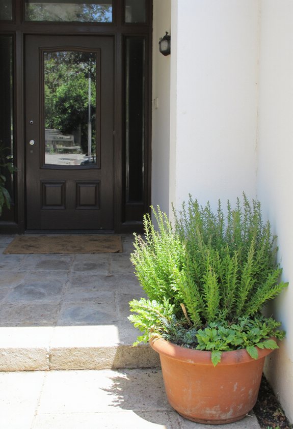 front door herb garden