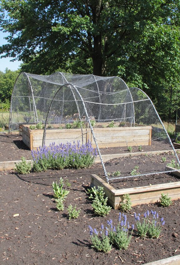 hog wire raised bed fence