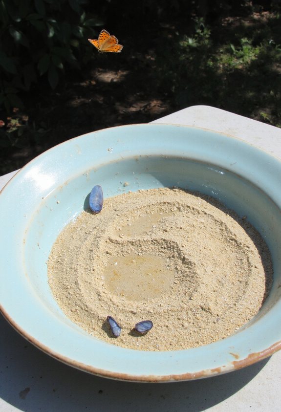 replace cracked smelly dish