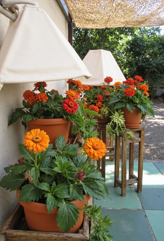 shade sails cool balcony plants