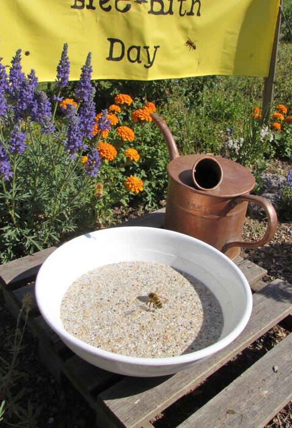 backyard bee bath gathering