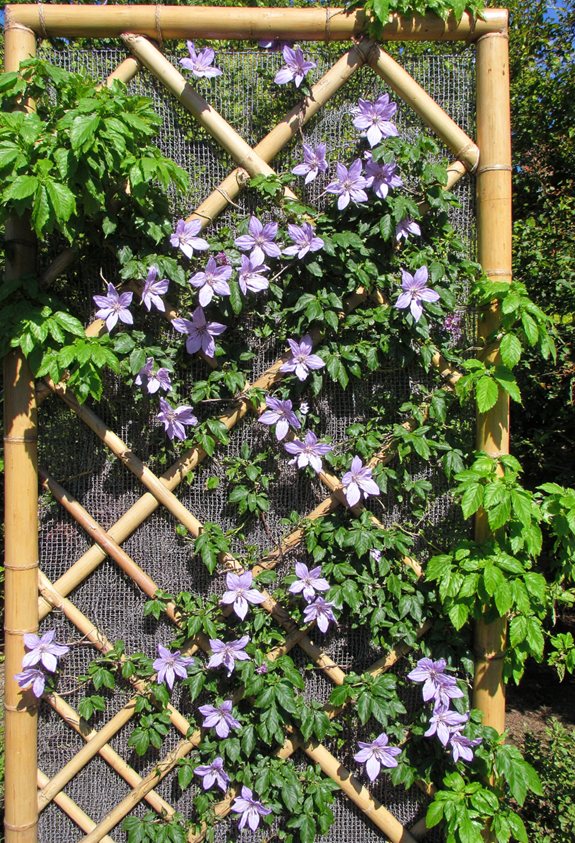 bamboo stake mesh trellis