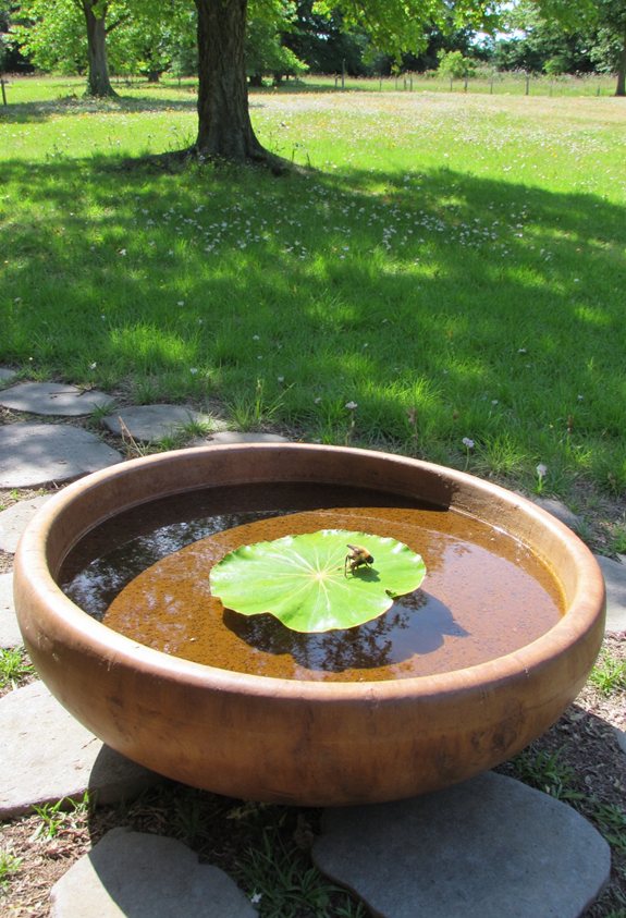 bee bath garden design