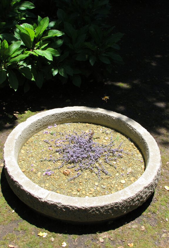 bee bath success essentials
