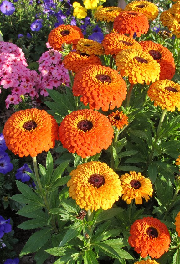 bright summer garden bloom