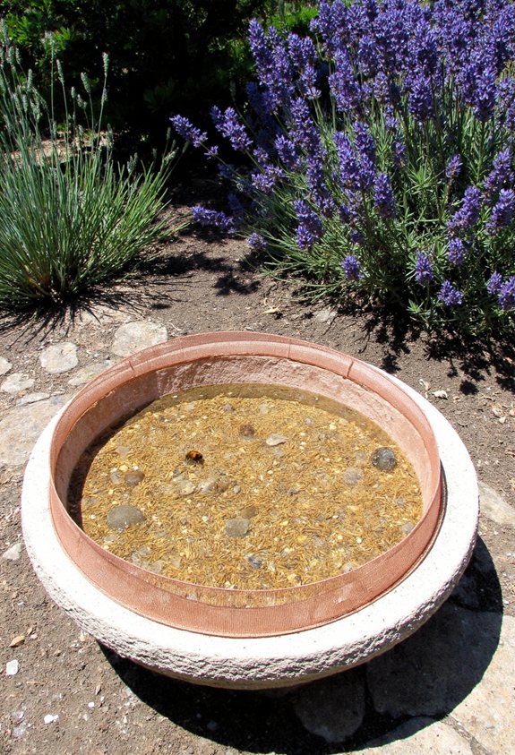 cinnamon barrier deters ants